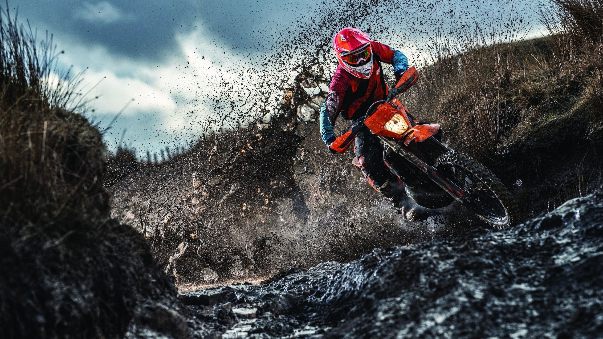 体育教育资源区域差异化发展策略研究,体育教学资源的开发