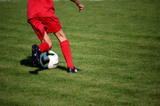 华体会网站-法甲营养恢复系统提升球员赛季稳定性调查