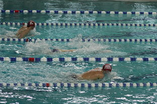 华体会体育下载-“世界游泳锦标赛：2025新加坡赛场泳池掀起速度与优雅的碰撞”