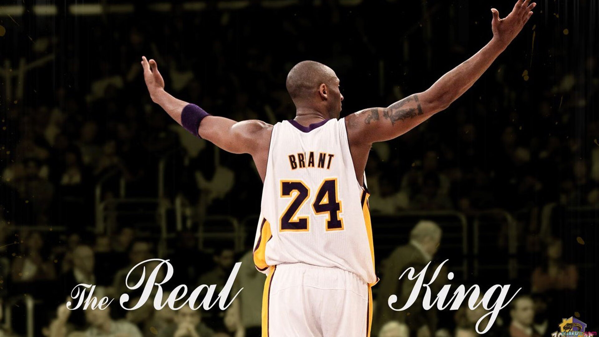 凯尔特人推出“球迷意见议会”，直接影响场馆决策，凯尔特人球迷头像